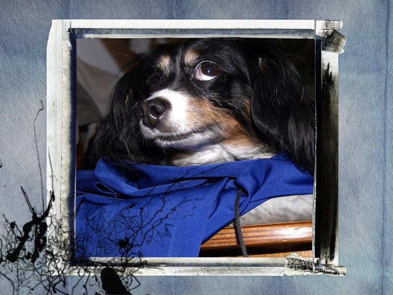 Texture Manipulation